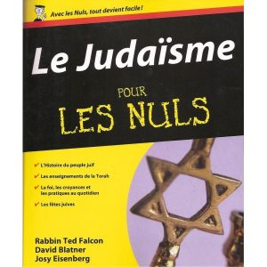 le judaïsme pour les nuls