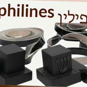 TEFILINE