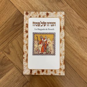 IMG_3381 HAGADA DE PESSAH HEBREU ET TRADUCTION PM