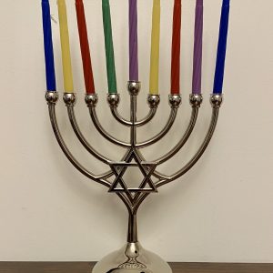 IMG_8215 Hanoukia Métal Maguen David