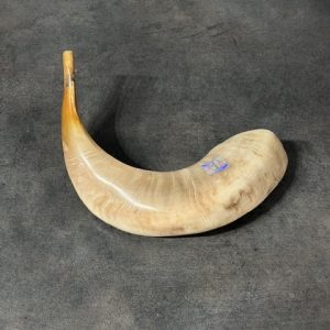 shofar