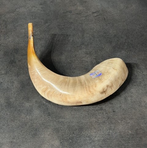 shofar