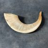 shofar