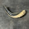 Shofar