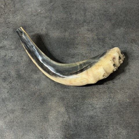 Shofar
