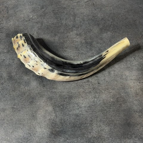 Shofar
