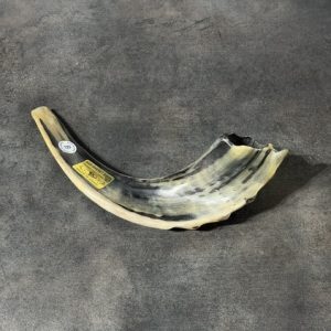 Shofar