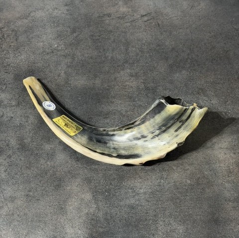 Shofar