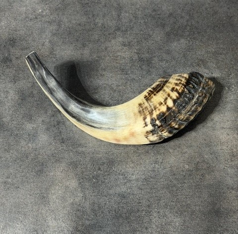 Shofar
