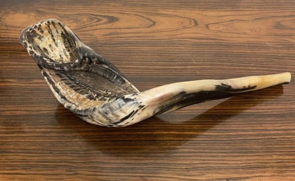 IMG_4114 Shofar