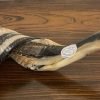 IMG_4115 Shofar
