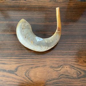 IMG_73101 Shofar