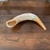 IMG_73131 Shofar