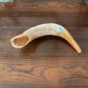 IMG_73131 Shofar