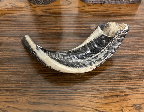 Shofar