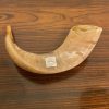 IMG_9230 Shofar