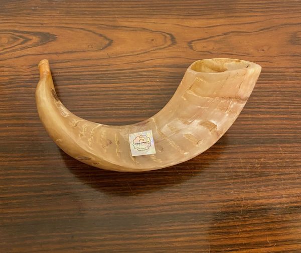 IMG_9230 Shofar