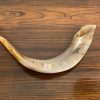 shofar
