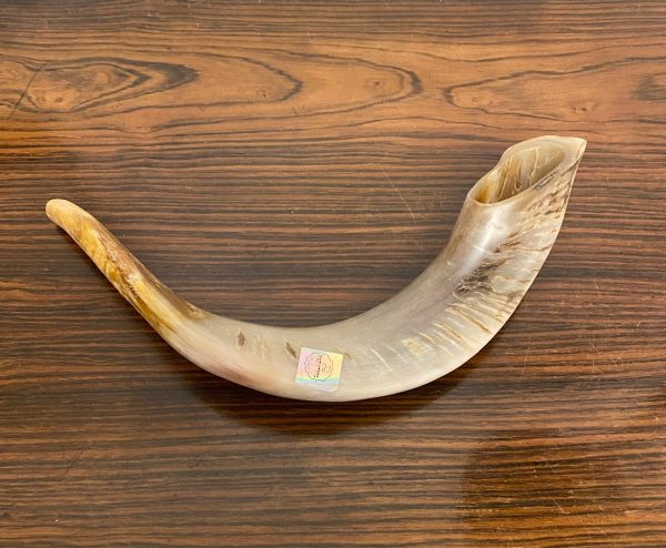 shofar