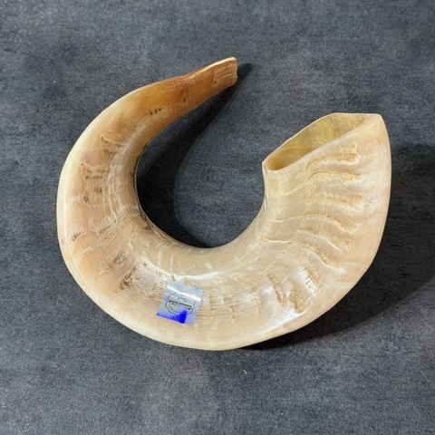 Shofar