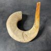 Shofar
