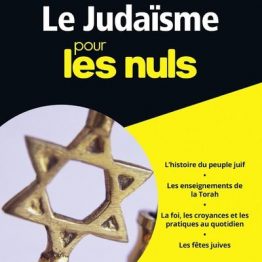 Le-judaisme-Poche-Pour-les-Nuls