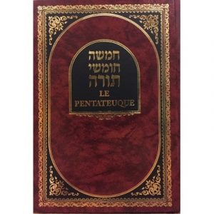 Pentateuque bilingue Moyen Modèle