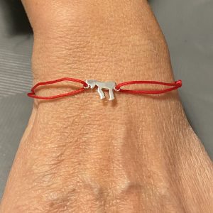 IMG_8299 Bracelet fil rouge coulissant Haï Argent