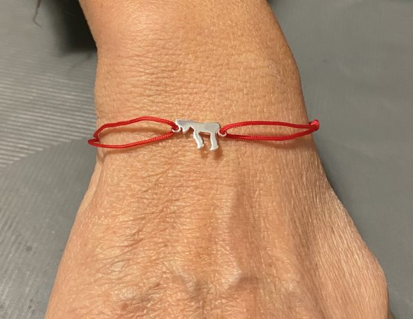 Bracelet fil rouge coulissant Haï  Argent