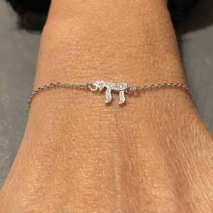 IMG_8301 Bracelet Hai Argent