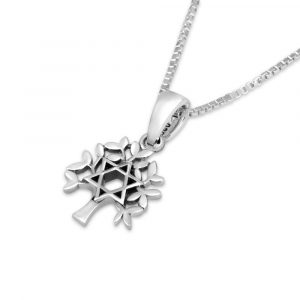 450P-644-SL pendentif Maguen David argent