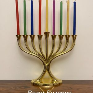 IMG_8166 Hanoukia métal doré arbre de vie