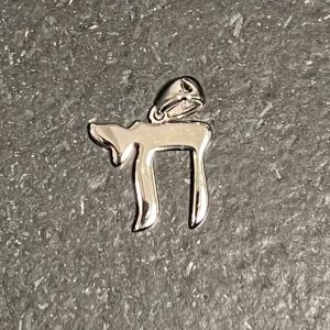 IMG_2179 Pendentif Hai en argent