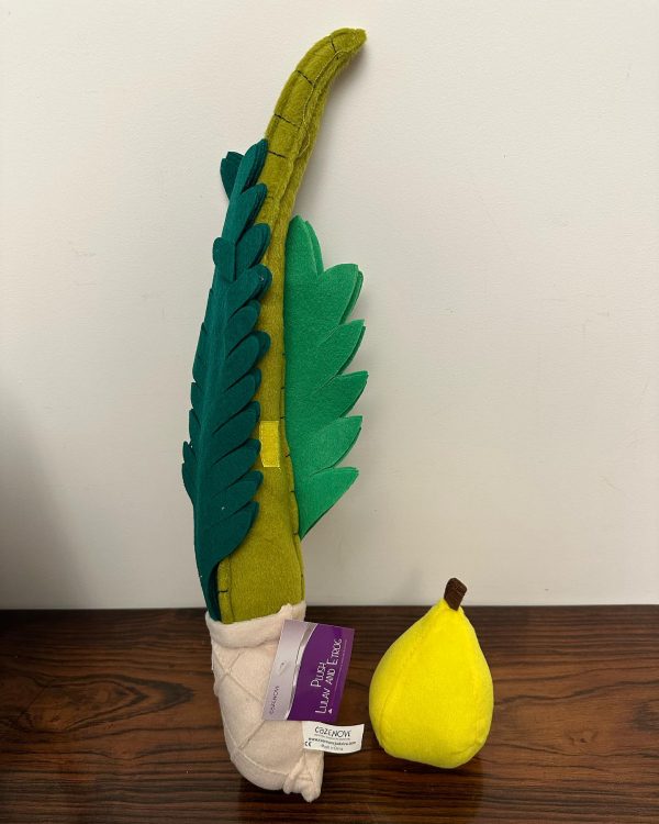 382238257_18275711713153790_2233838547689378308_n Set Peluche loulav et etrog