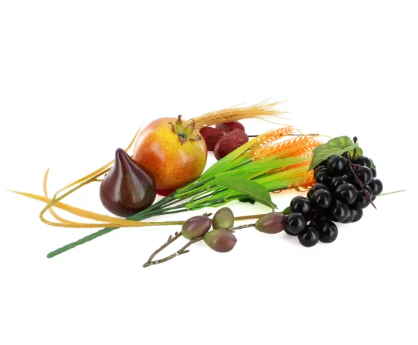 Décorations de Souccoth