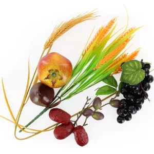 SHHD-1001_02 Décorations de Souccoth