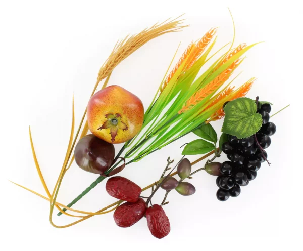 Décorations de Souccoth