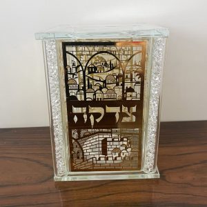 IMG_5283 TSEDAKA Cristal