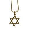 Collier Maguen David