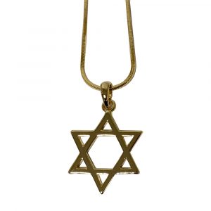 90880 Collier Maguen David