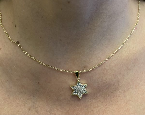 Collier Maguen David en Goldfield