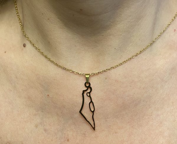 IMG_5385 Collier carte d'Israël en Goldfield