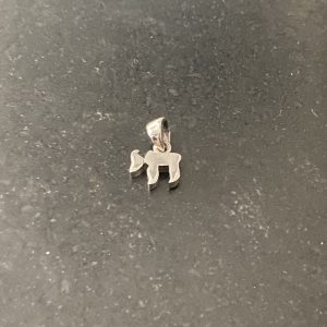 IMG_5394 Pendentif Hai en argent