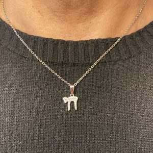 IMG_6709 Collier Argent avec Haï et strass