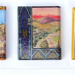 Mini Livre des Psaumes/ Tehilim Hebreu Francais