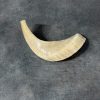 Shofar