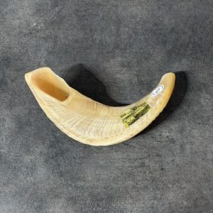Shofar