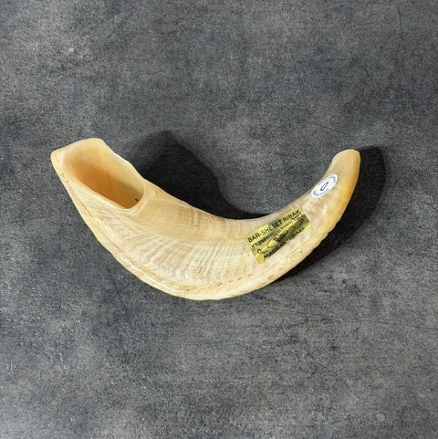 Shofar