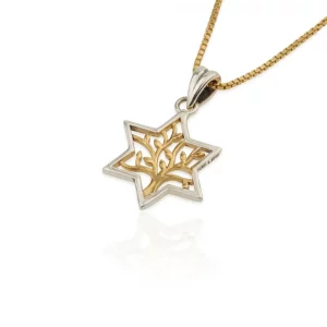 Pendentif Maguen David argent et arbre de vie plaqué Or
