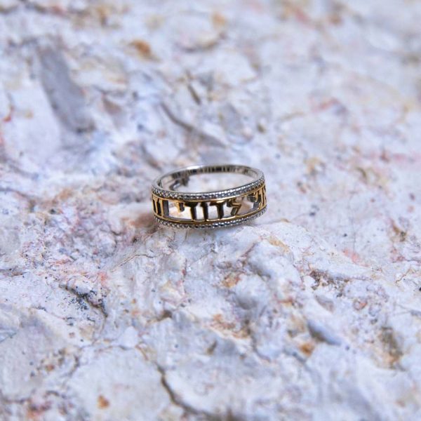Bague Ani LeDodi en argent et plaqué or